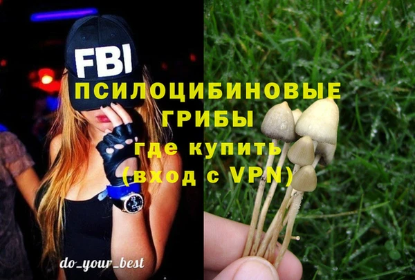 крисы Армянск