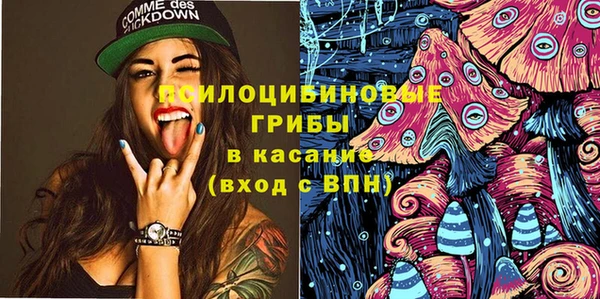 мяу мяу мука Аркадак